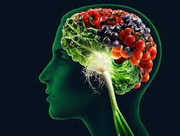 Your brain does not like the commercial diets and will cause an increased appetite